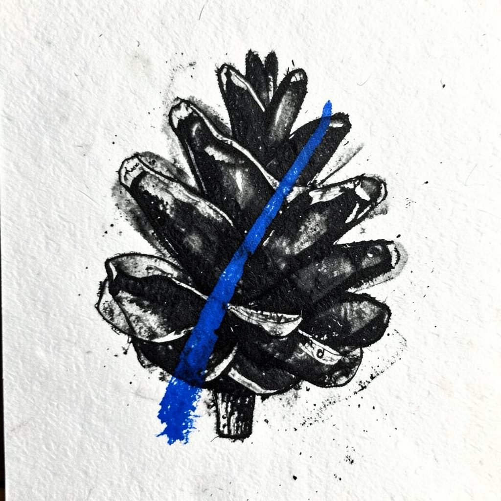 Dark charcoal sketch of a pine cone with subtle gradient shading on a deep navy background, calm and organic